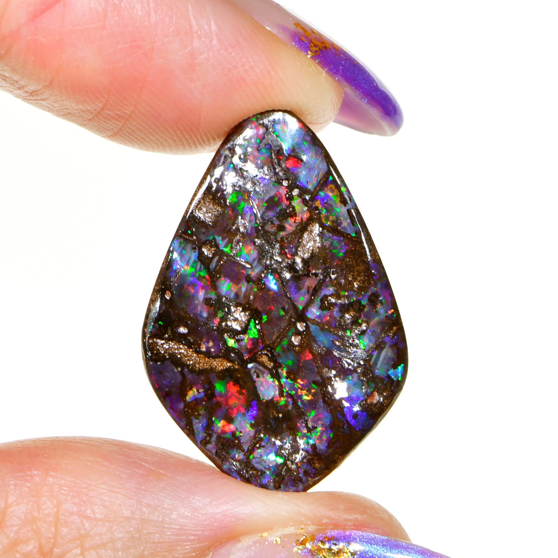 Rainbow Wood Fossil Winton Boulder Opal 15.9 ct