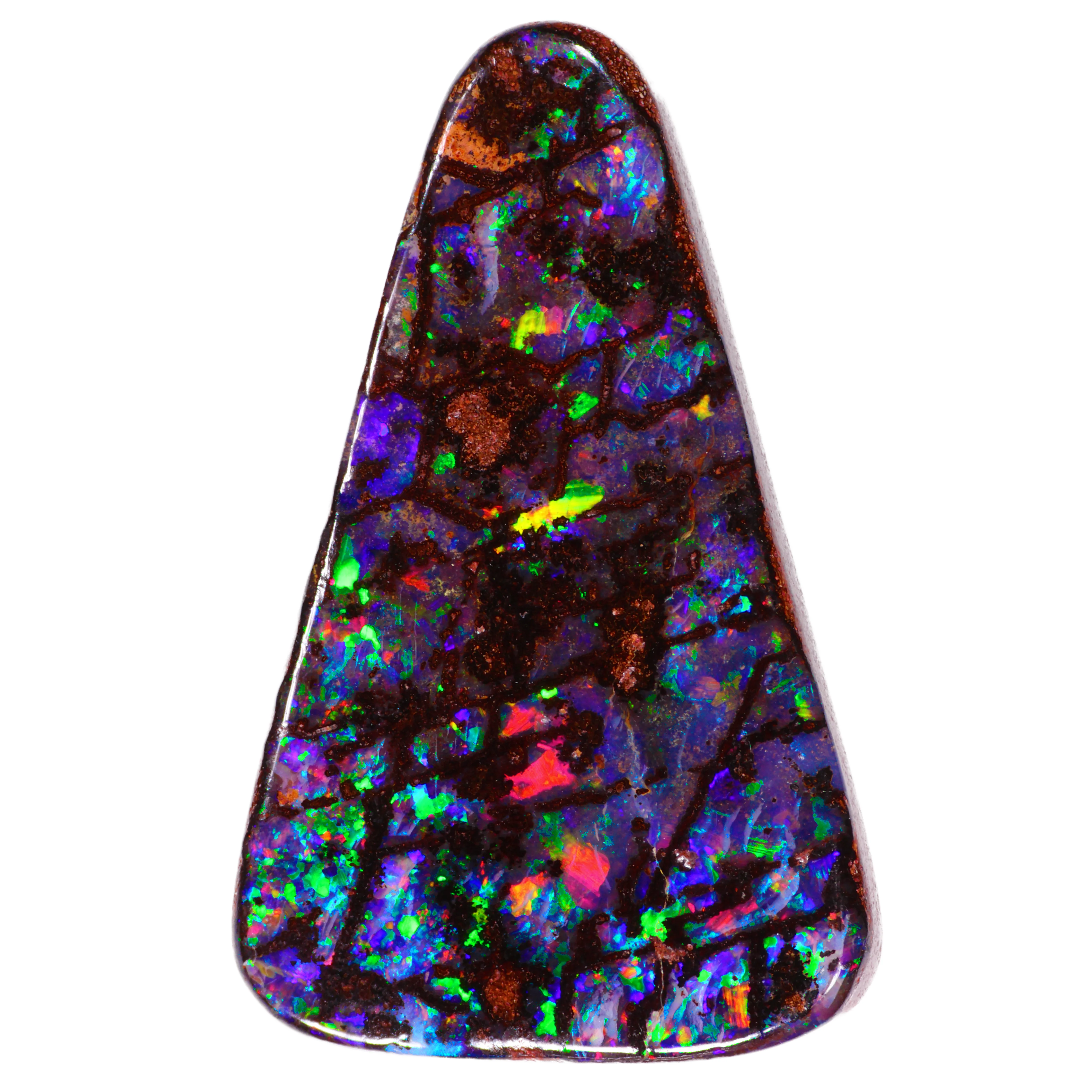 boulder-opal-church-window-wood-fossil-13-9ct-opal-galaxy