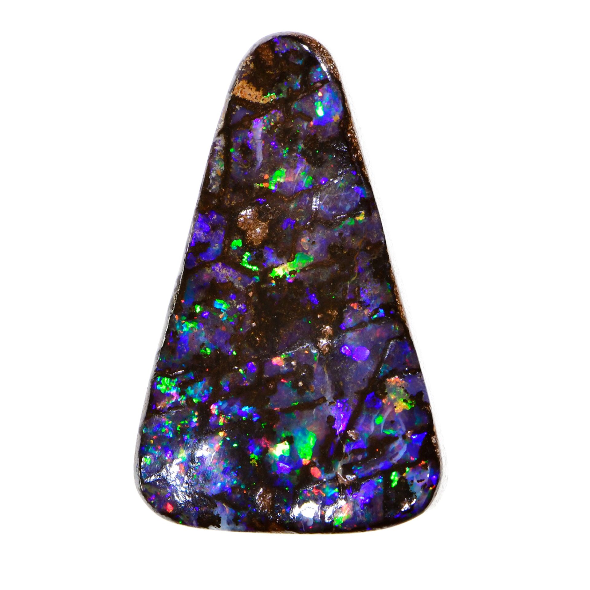 Rainbow Wood Fossil Winton Boulder Opal 13.9 ct