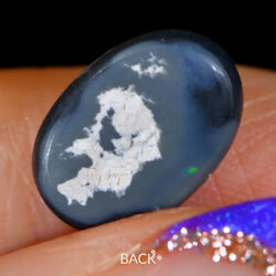 xx1062 back