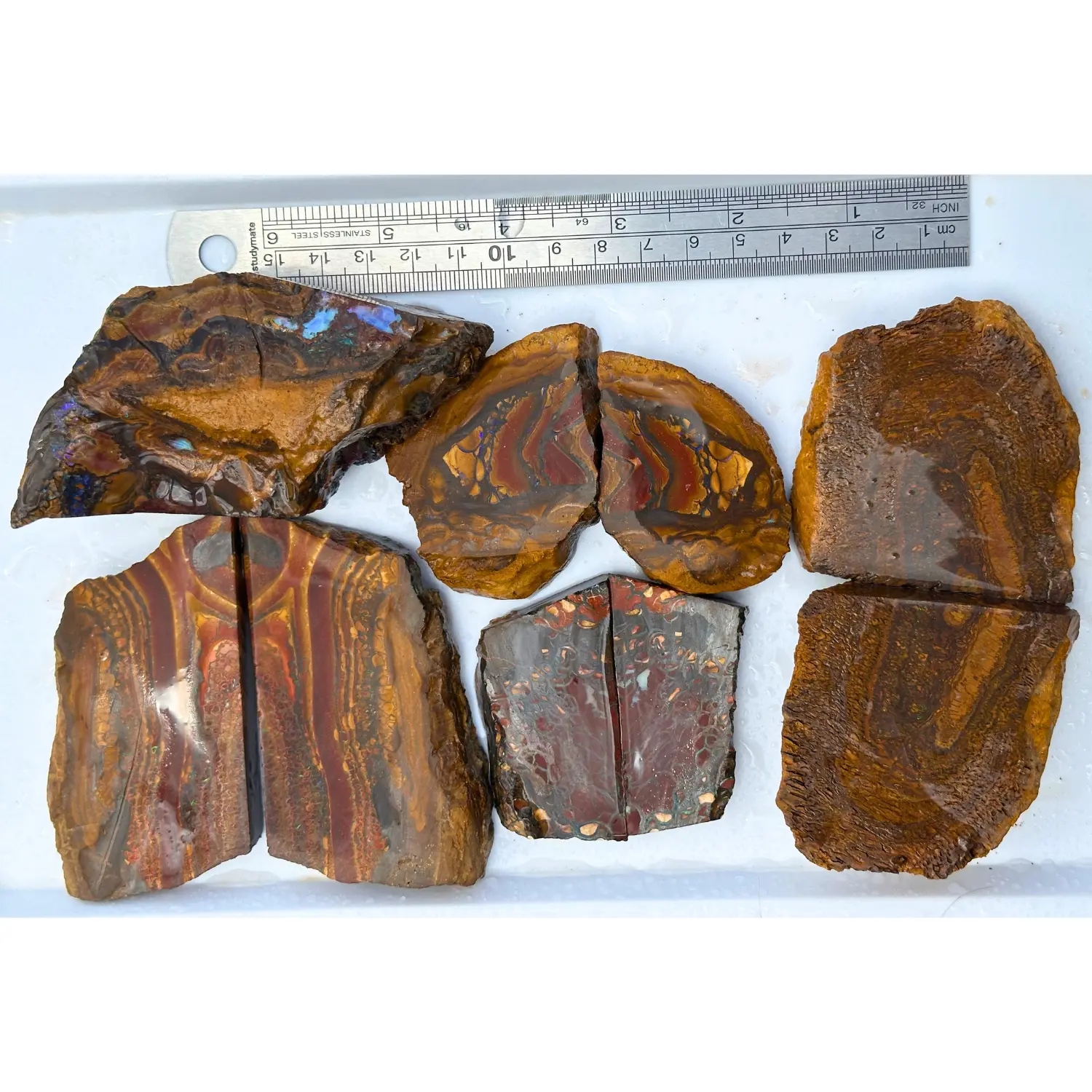 700 gram Boulder Opal Splits Parcel 9 Pieces-with ruler