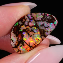 Closeup view of fossil opal showing neon fire and cracked pattern