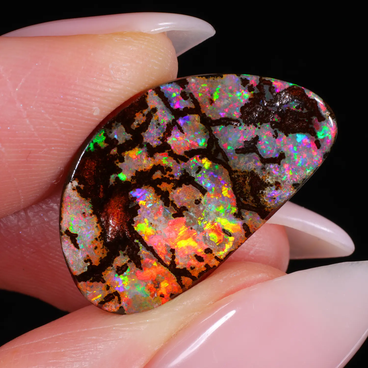 Closeup view of fossil opal showing neon fire and cracked pattern