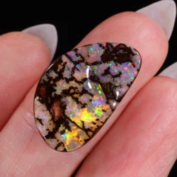 Handshot showing scale and color movement