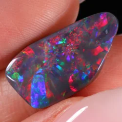 Black opal held in fingers revealing bright red, green, blue, yellow, orange, and cyan fire-xx1874
