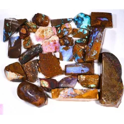 29 piece boulder opal rough parcel 886 grams with vegetation fossil opals from Queensland Group Shot