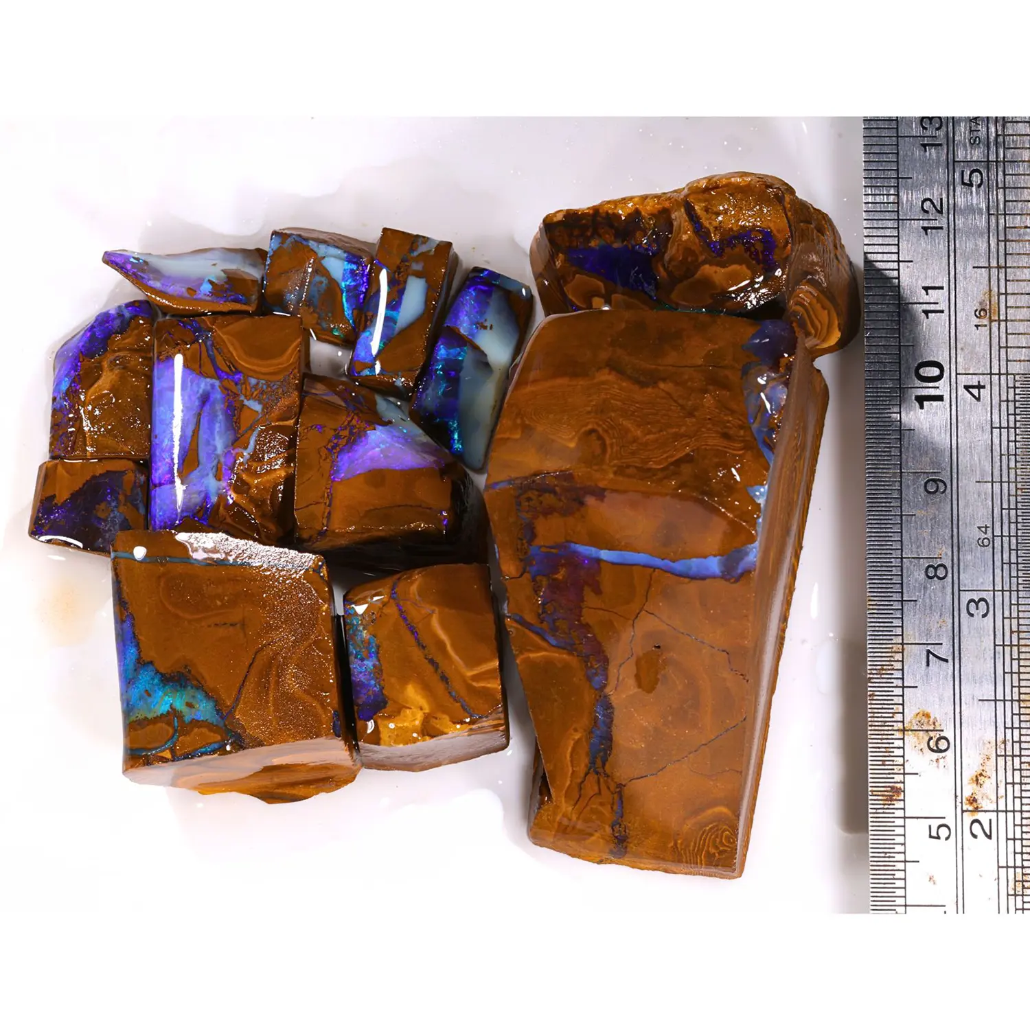 winton boulder opal parcel 220g natural australian opal with ruler showing size and blue matrix color