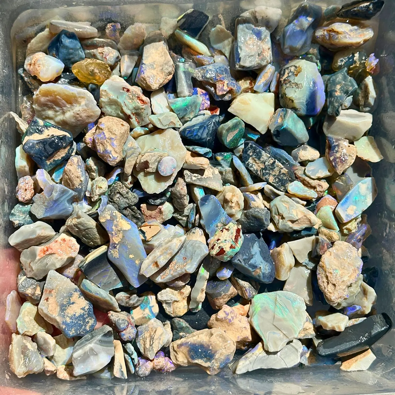 lightning ridge beginner rough opal parcel 300g natural australian opal mixed stones in container
