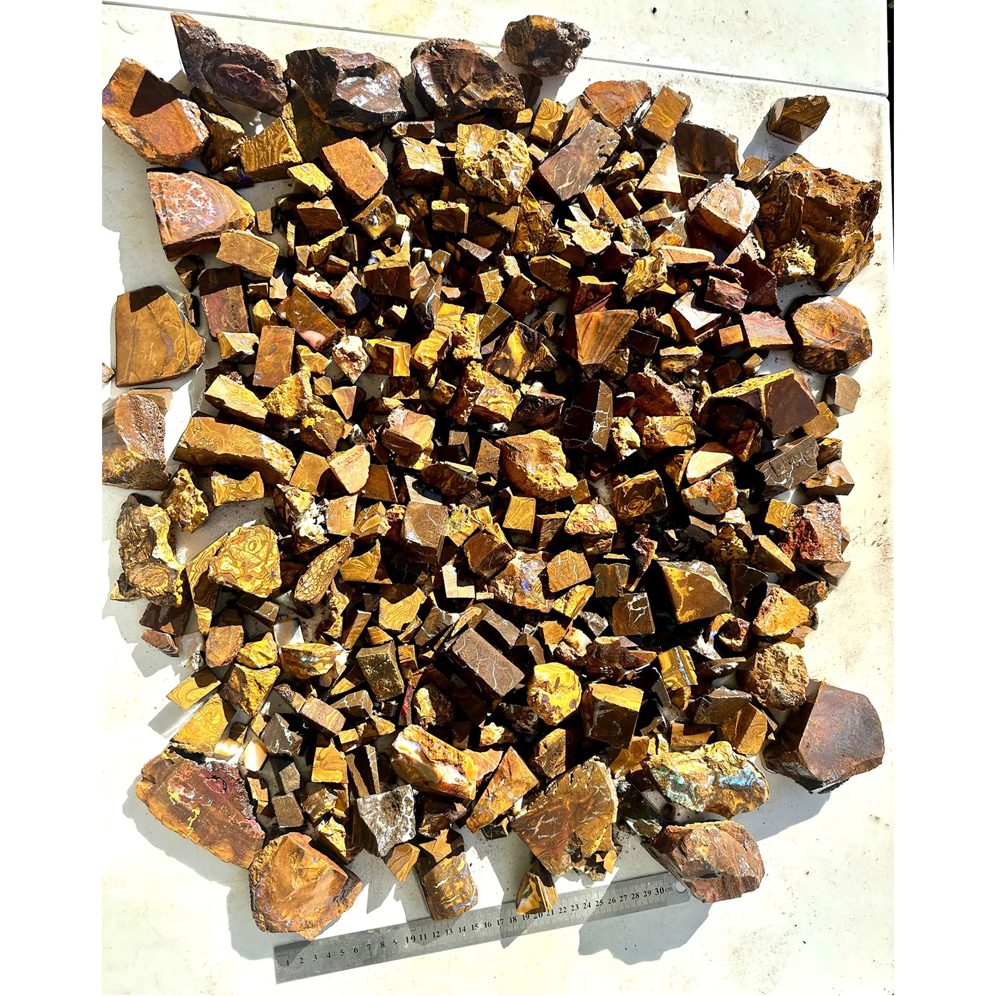 18kg boulder opal rough bulk parcel from Queensland, Australia showing hundreds of raw ironstone pieces with golden amber tones and opal potential. Natural, untreated.