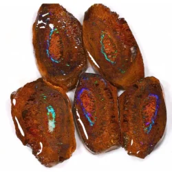 233ct Koroit boulder opal nut splits parcel of 5 pieces from Queensland, Australia showing concentric eye pattern with purple, blue, and teal opal veining. Natural, untreated.