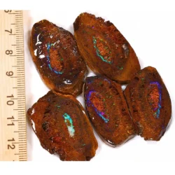 233ct Koroit boulder opal nut splits parcel from Queensland, Australia showing matched pairs with purple and teal opal veining through amber ironstone. 100% natural and untreated.