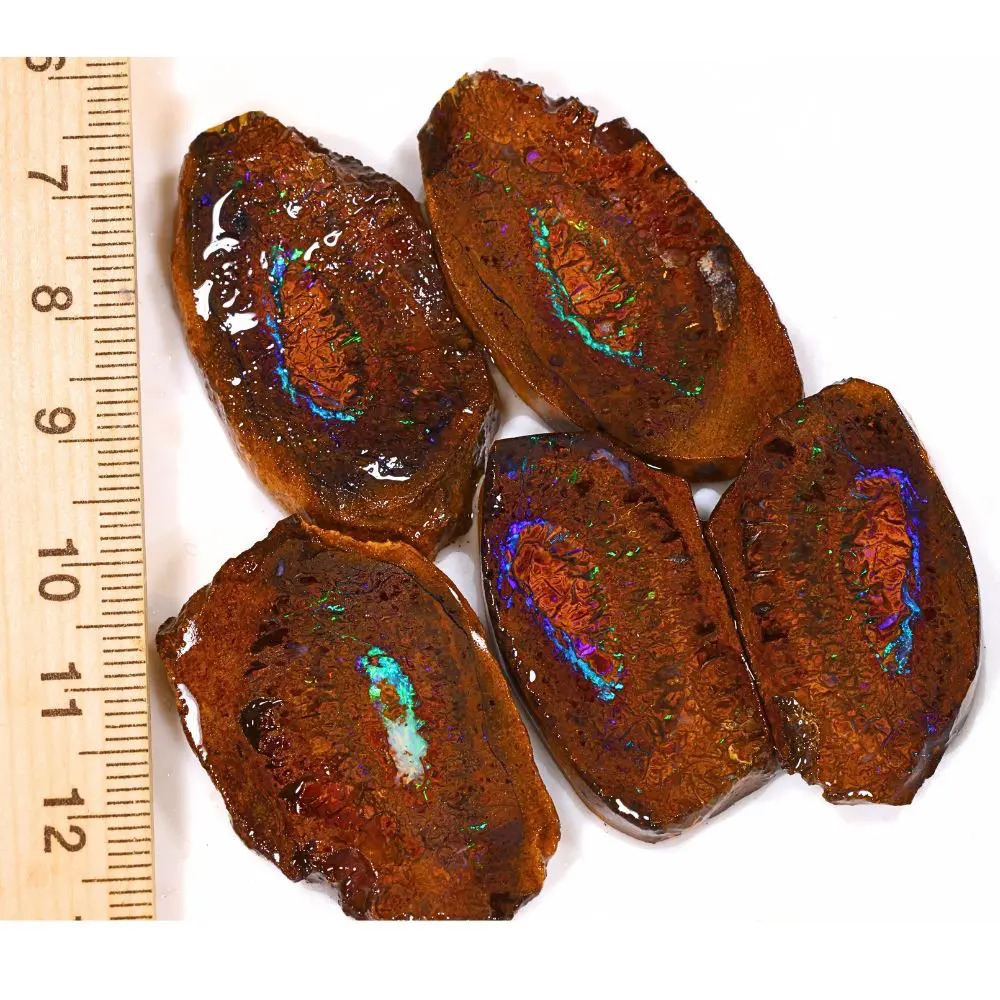 233ct Koroit boulder opal nut splits parcel from Queensland, Australia showing matched pairs with purple and teal opal veining through amber ironstone. 100% natural and untreated.