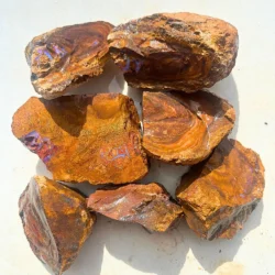 5kg koroit boulder opal rough parcel 7pc RP231 - Group Shot