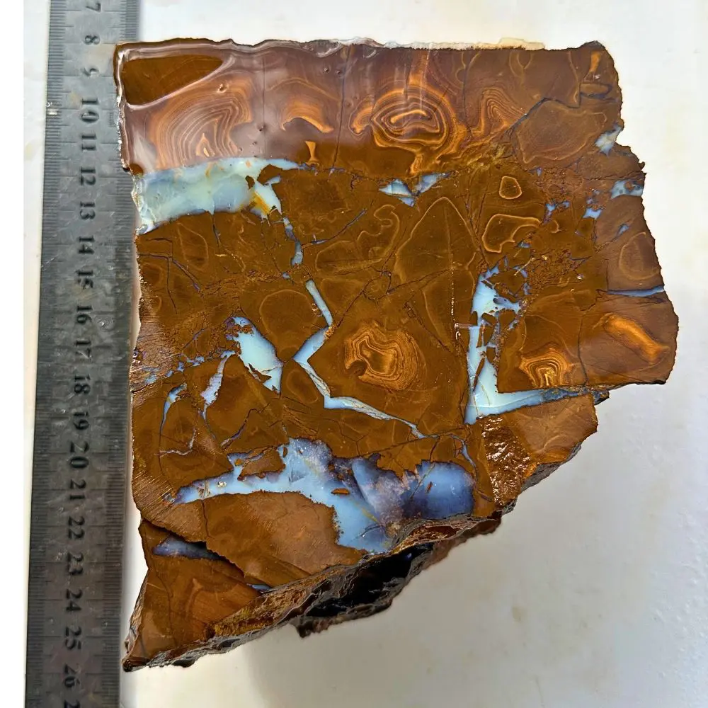 1.6kg boulder opal specimen rough blue RP250 with ruler