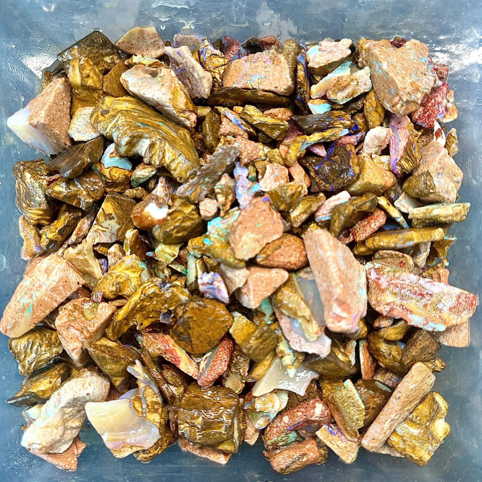500g crystal boulder opal chips rough parcel from Winton, Australia with blue, purple, and green fire through sandy host rock. Natural, untreated inlay material.