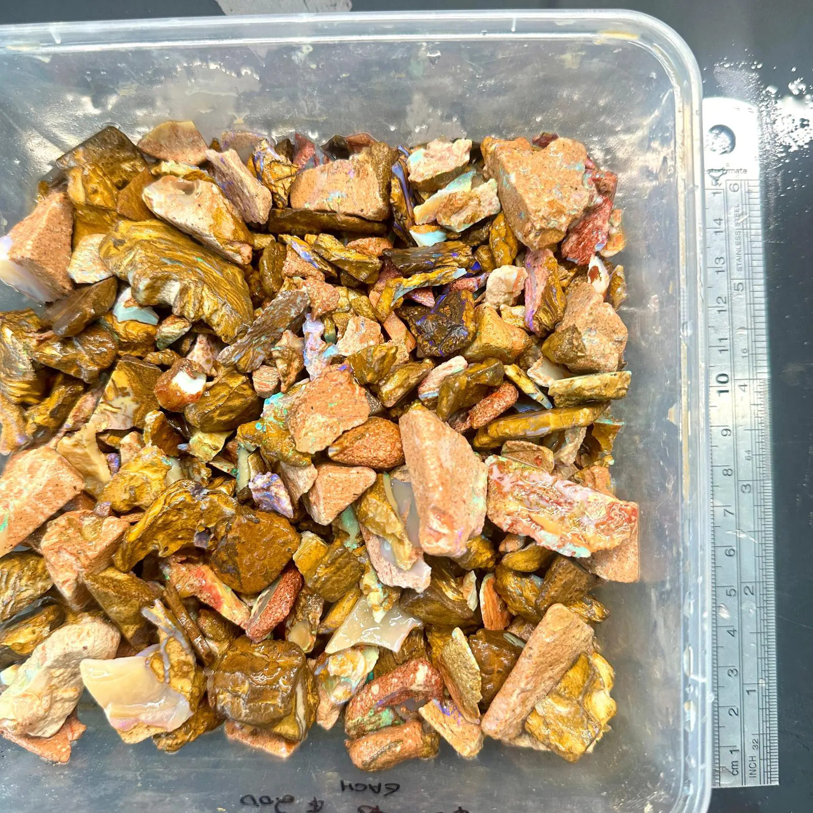 500g crystal boulder opal chips parcel from Winton, Australia showing a large quantity of small pieces with scattered blue and purple fire. 100% natural and untreated.