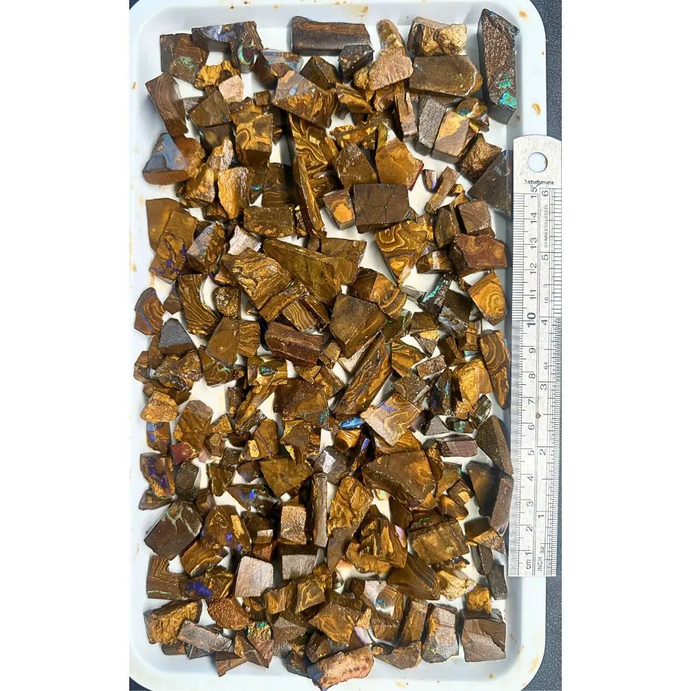 650g boulder opal chips parcel from Winton, Australia showing a large tray of golden brown ironstone pieces with scattered color. 100% natural and untreated.