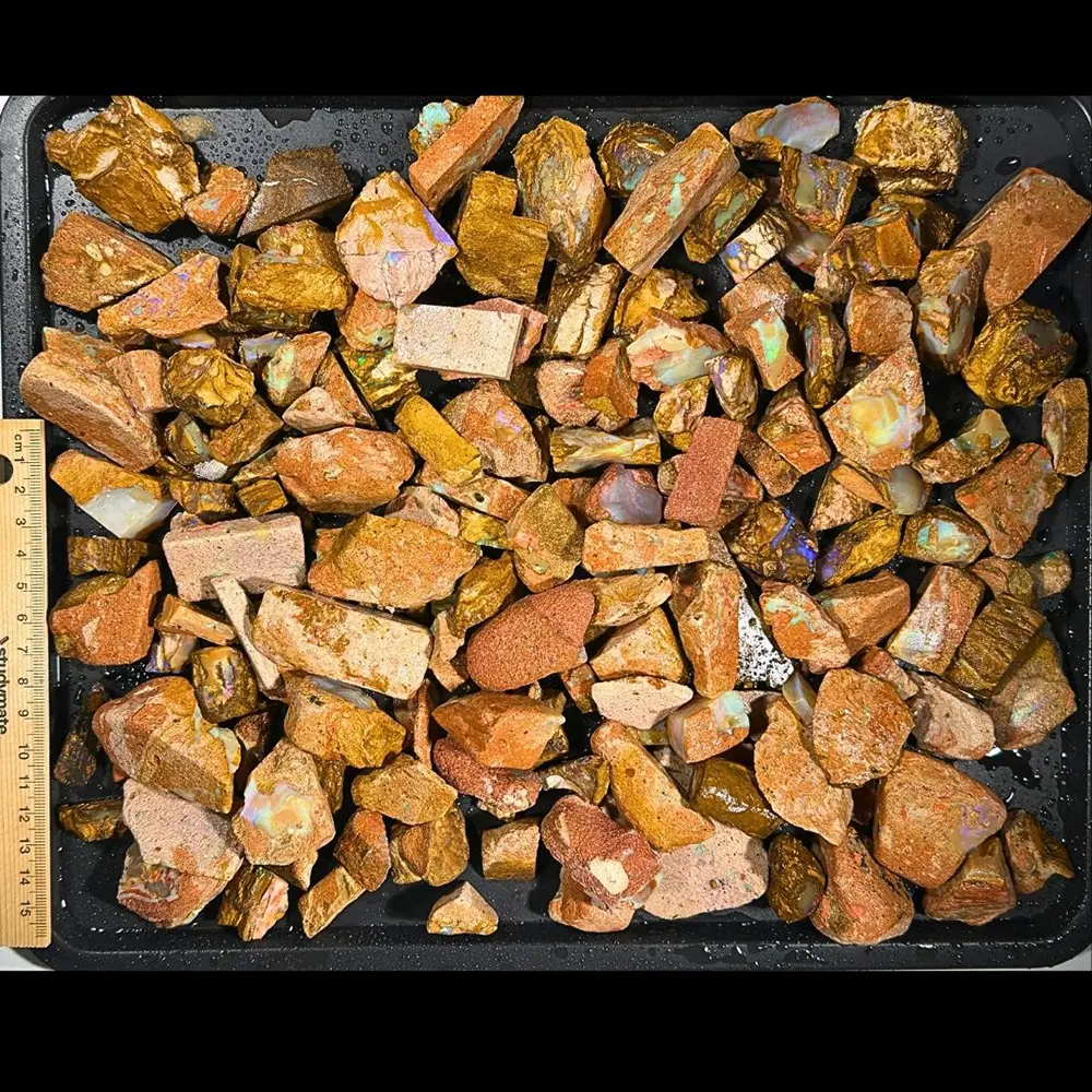 1.8kg Crystal Boulder Opal rough parcel from Winton Australia showing mixed ironstone pieces with visible opal color beside a ruler