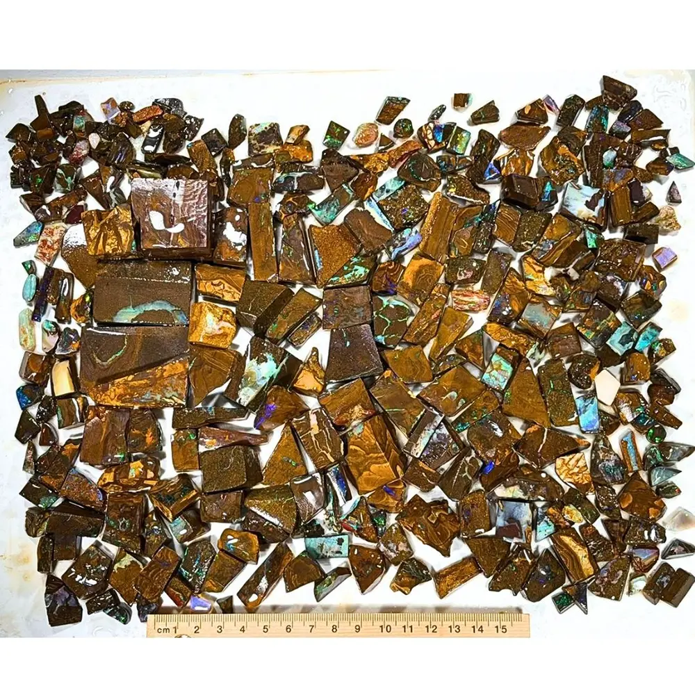 Winton Boulder Opal chips and rubs parcel over 1kg with ruler showing the size of more than 300 natural Australian opal pieces