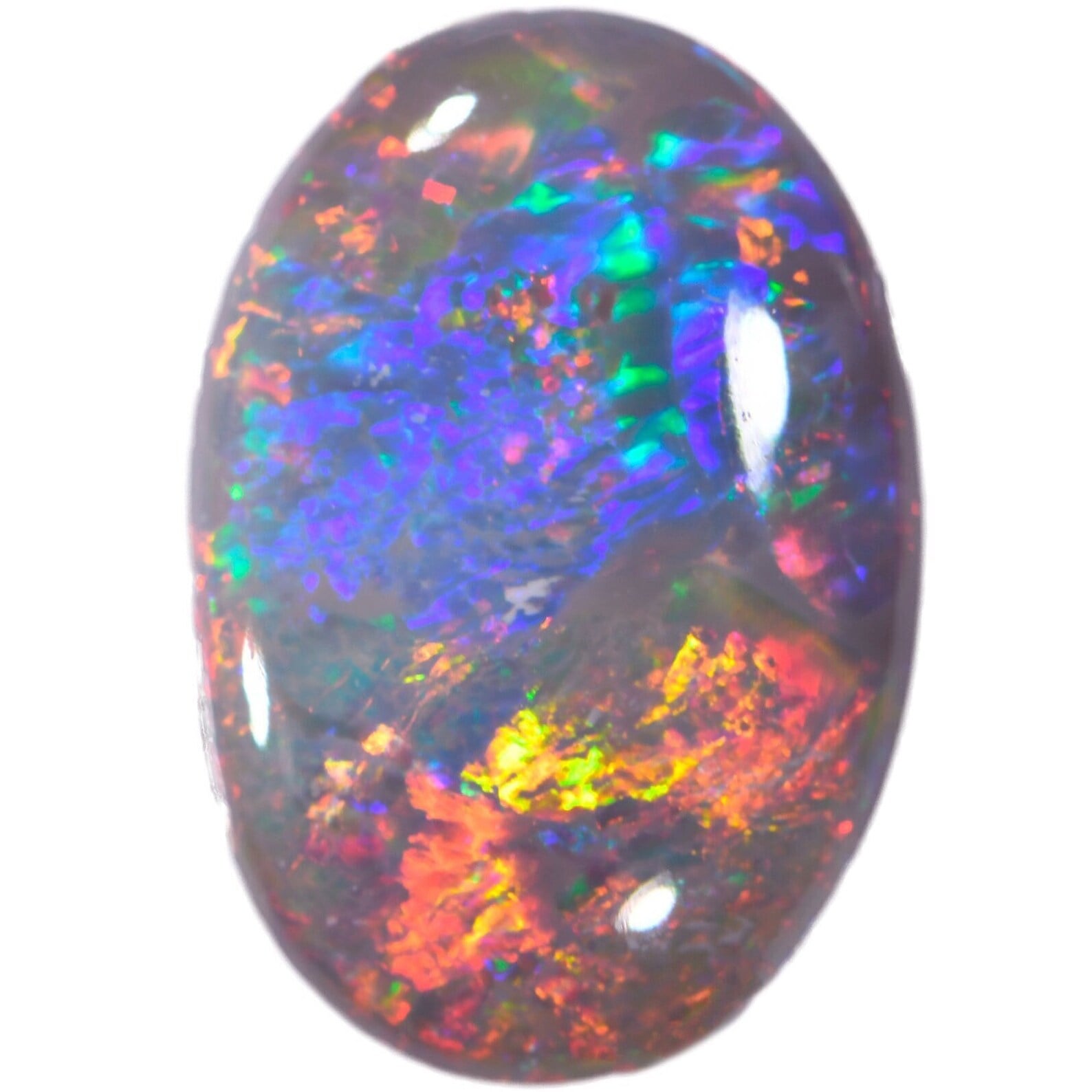 Rainbow Fire Dark Opal 2.8ct 14 x 9mm